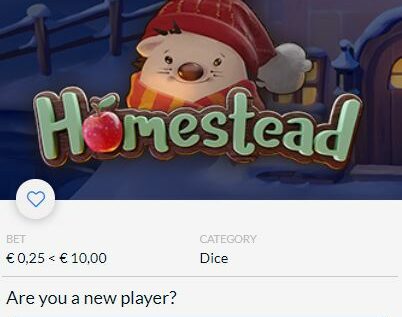 Homestead | Mystery Games | Bordspelbonus