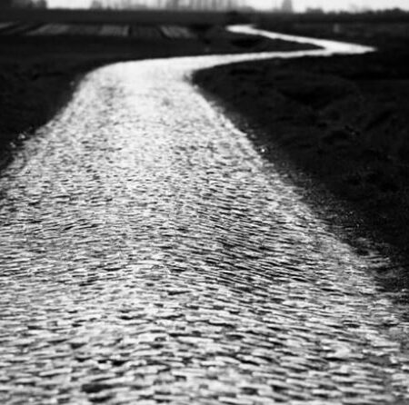 Follow Paris – Roubaix on Unibet.be