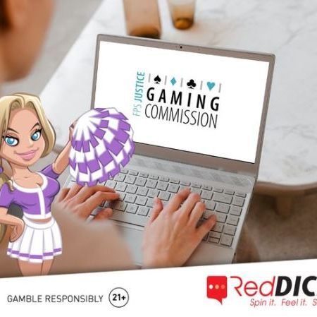 Expérience de jeu responsable et équitable sur RedDice