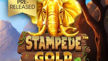 Stampede Gold: Get ready for a wild adventure